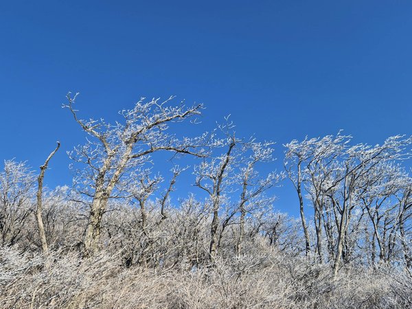 Les aides financières pour les professionnels de santé en difficulté